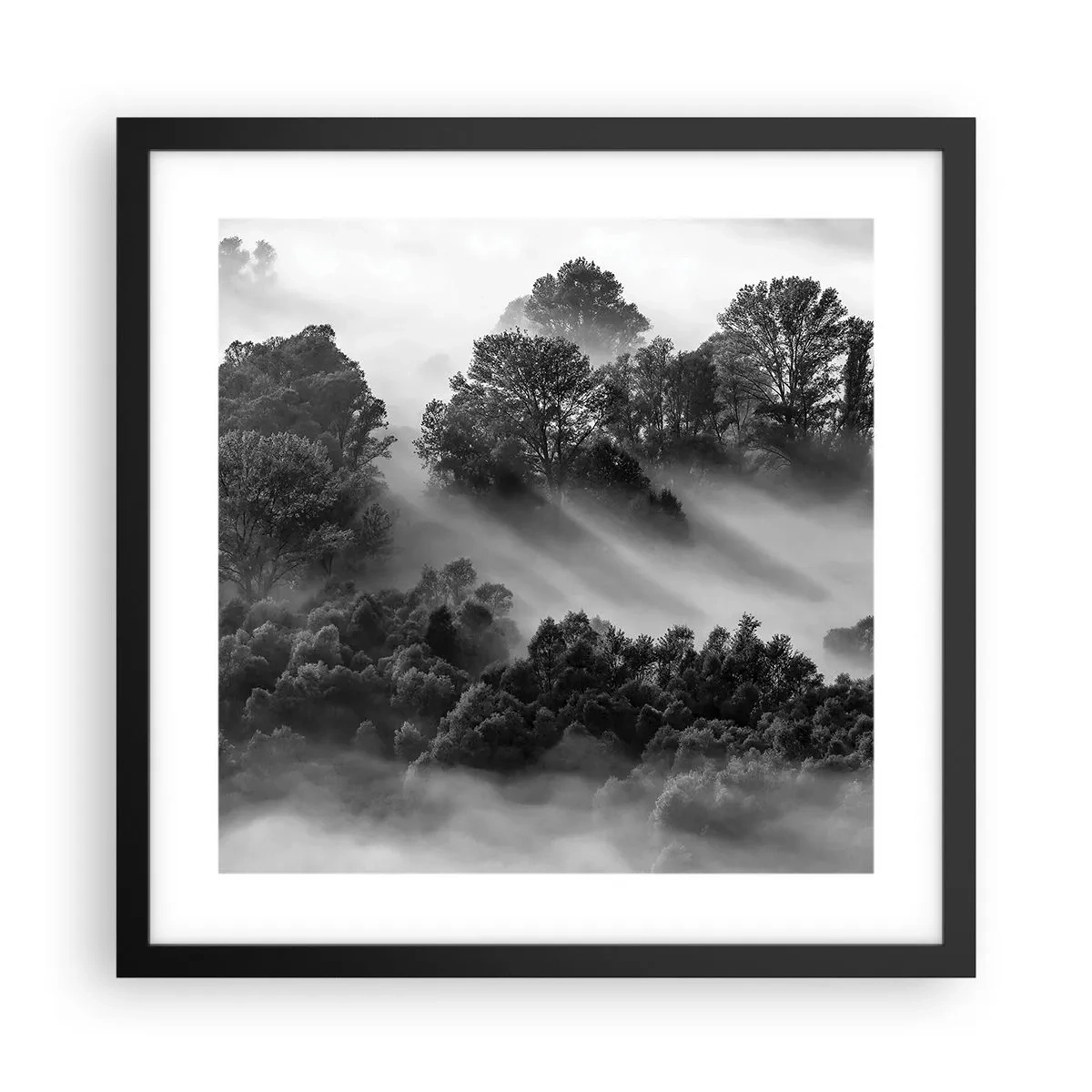 Poster în ramă neagră - Trezindu-se din somn - 40x40 cm