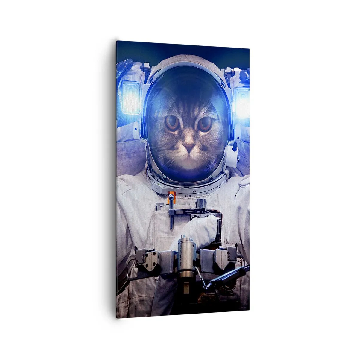 Tablou pe pânză - Houston, aveți o problemă - 65x120 cm