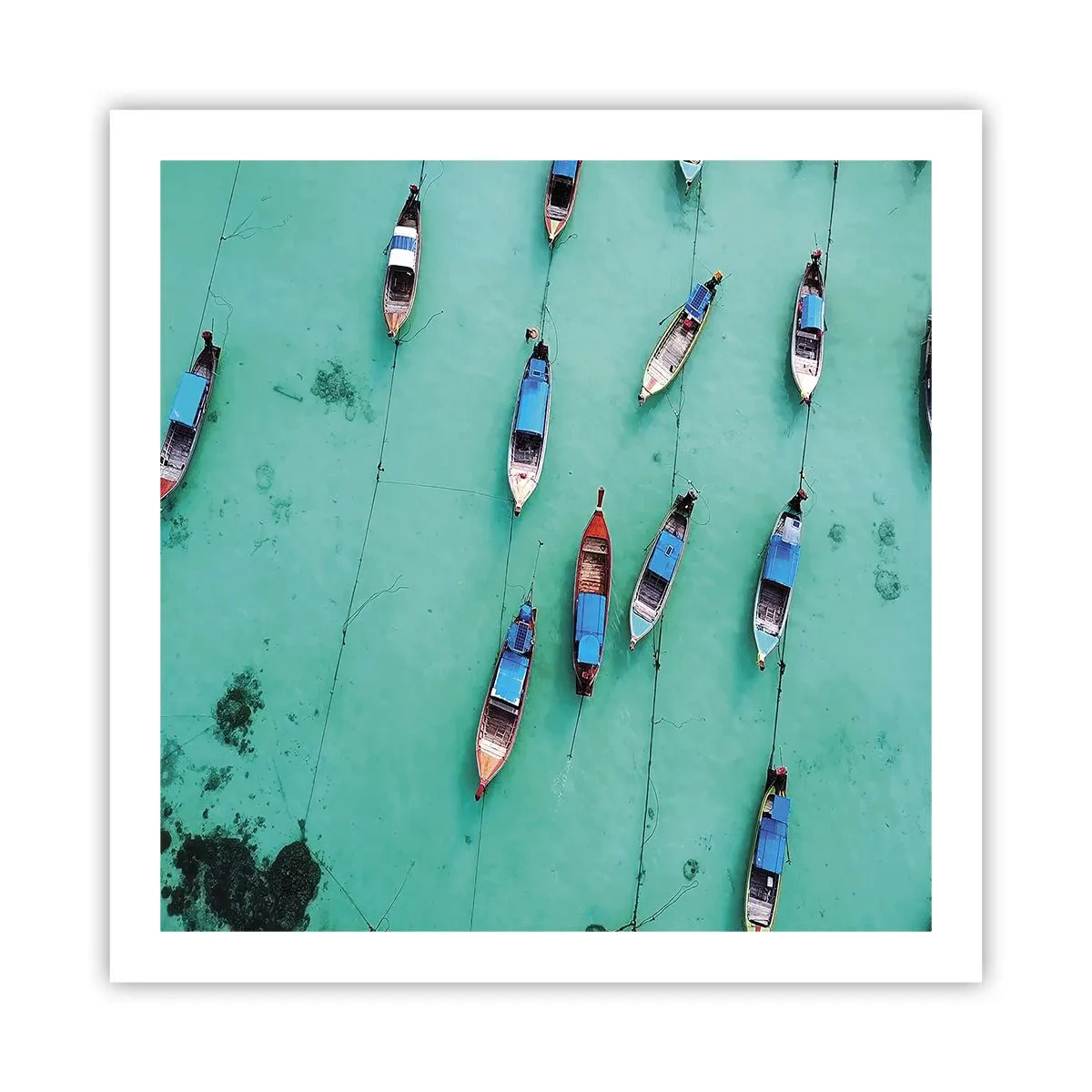 Poster - În așteptare - 60x60 cm