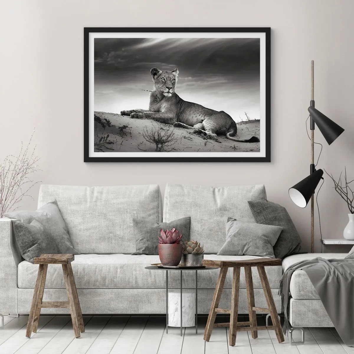 Poster în ramă neagră - Odihna reginei deșertului - 40x30 cm