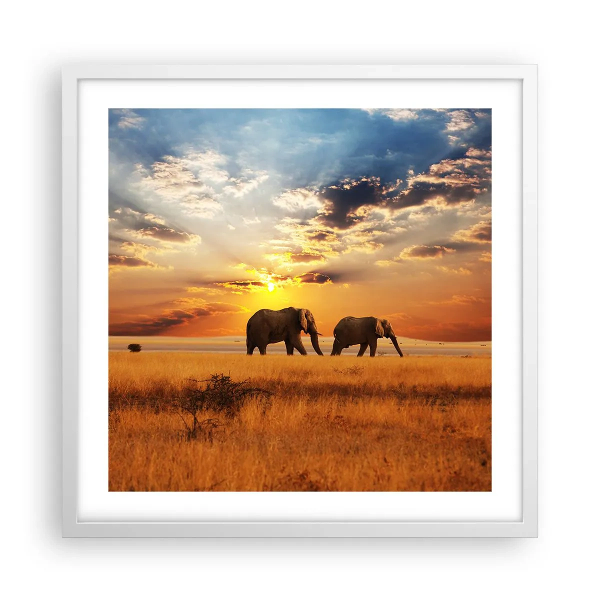 Poster în ramă albă - Plimbare în familie - 50x50 cm