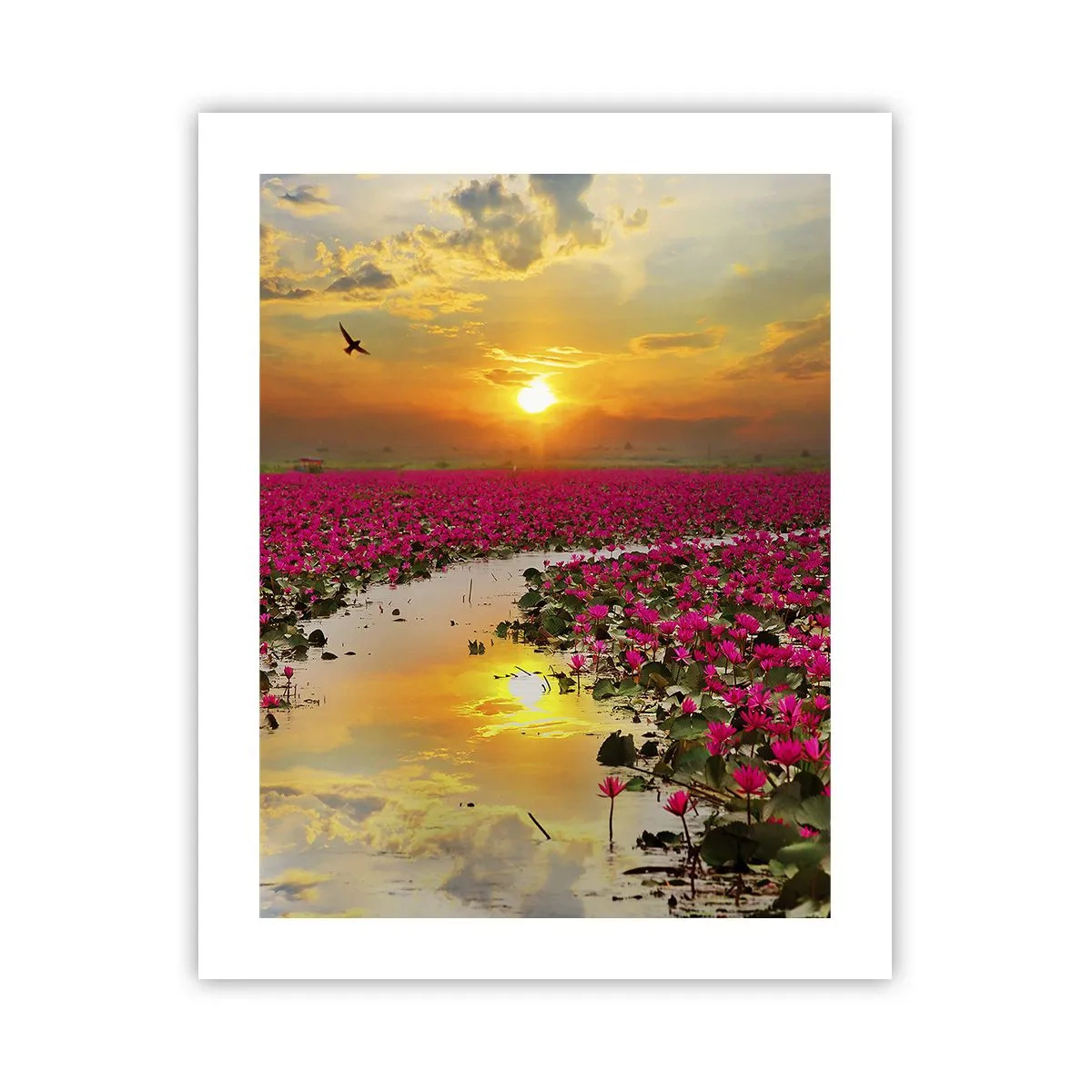 Poster - Viața secretă a lacului - 40x50 cm