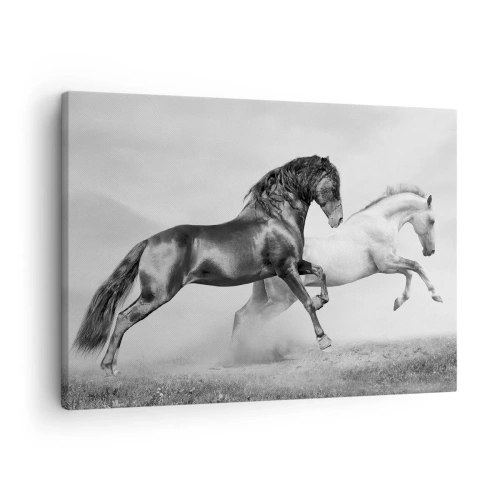 Tablou pe pânză Canvas - Doi cai în galop într-o compoziție dinamică alb-negru - 70x50cm - Îngeri și demoni - Decorațiune modernă pentru perete pentru living și dormitor ARTTOR