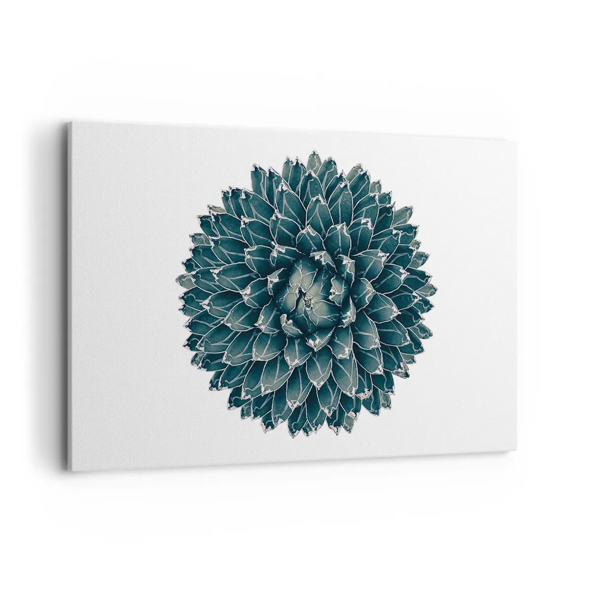 Tablou pe pânză - Steaua deșertului - 120x80 cm