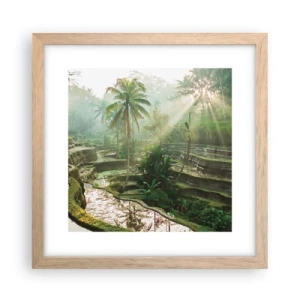 Poster în ramă de stejar deschis - Crescând la soare - 30x30 cm
