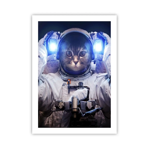 Poster - Houston, aveți o problemă - 50x70 cm