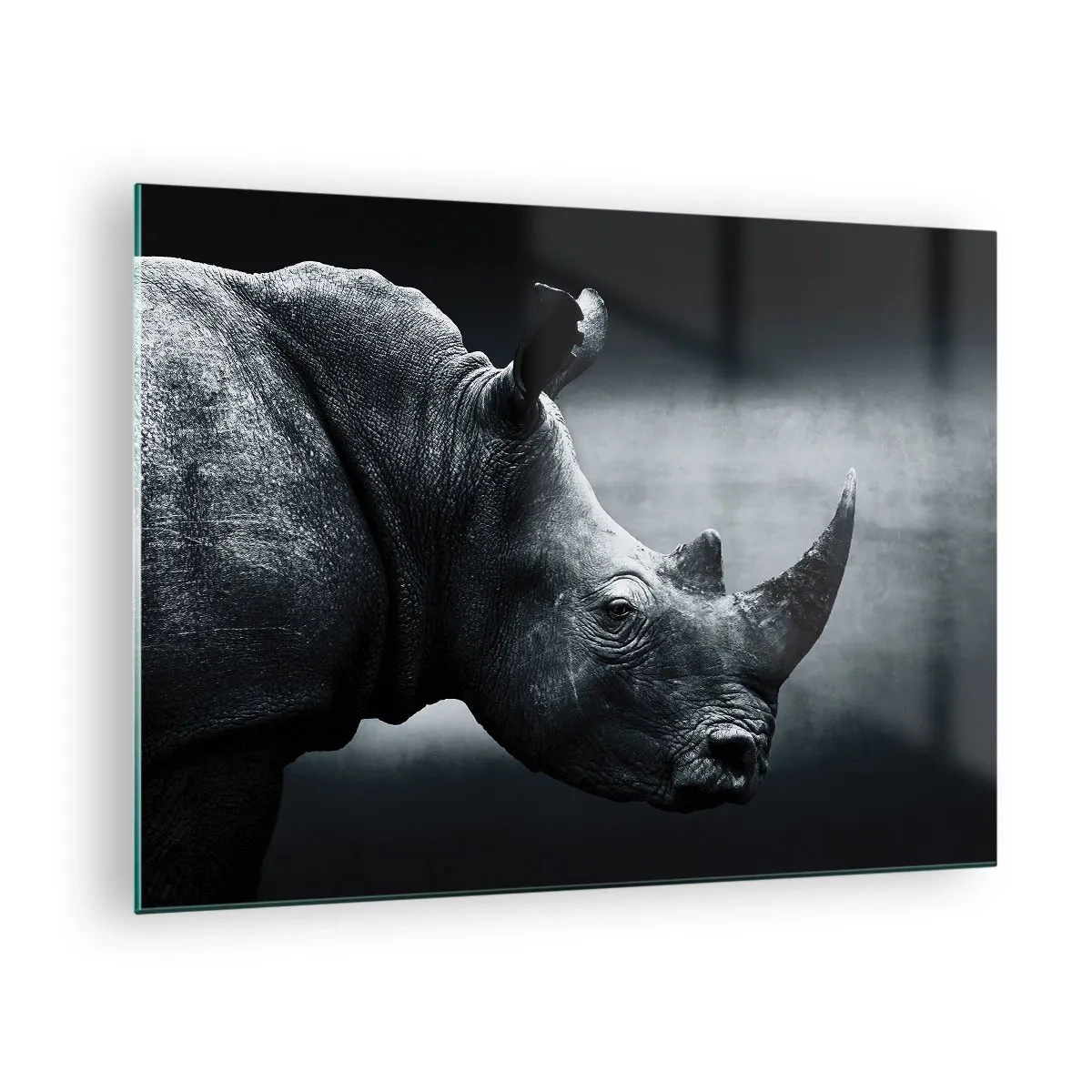 Tablou pe sticlă - Fotografie alb-negru a unui rinocer - 70x50cm - Profil drept - Decorațiune modernă pentru perete pentru living și dormitor ARTTOR