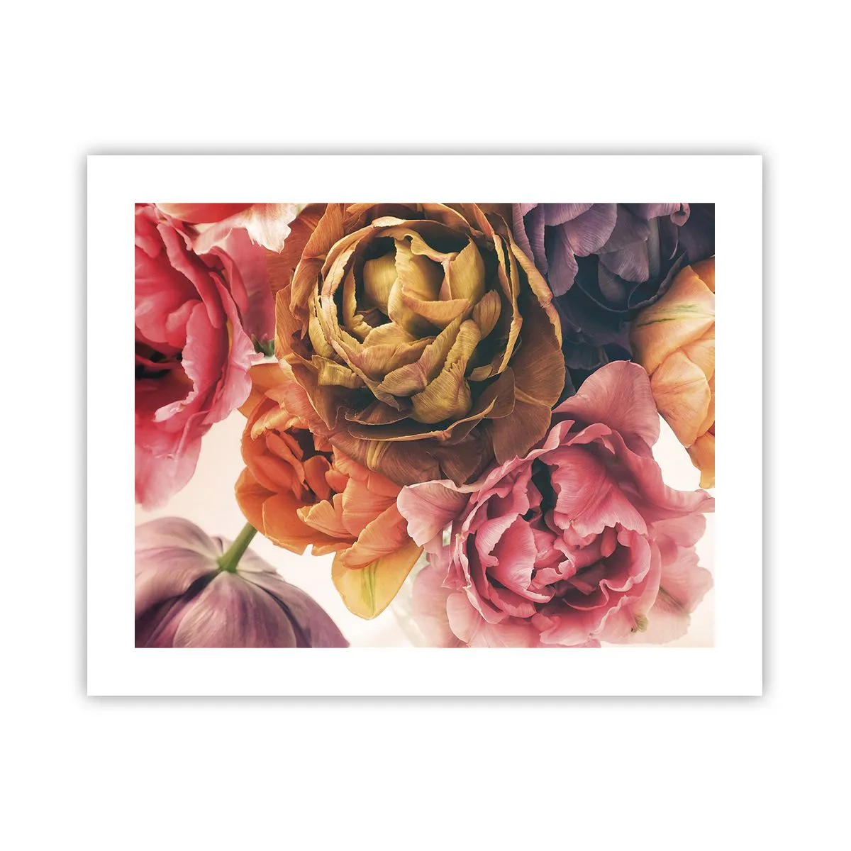 Poster - Sărbătorirea vieții - 50x40 cm