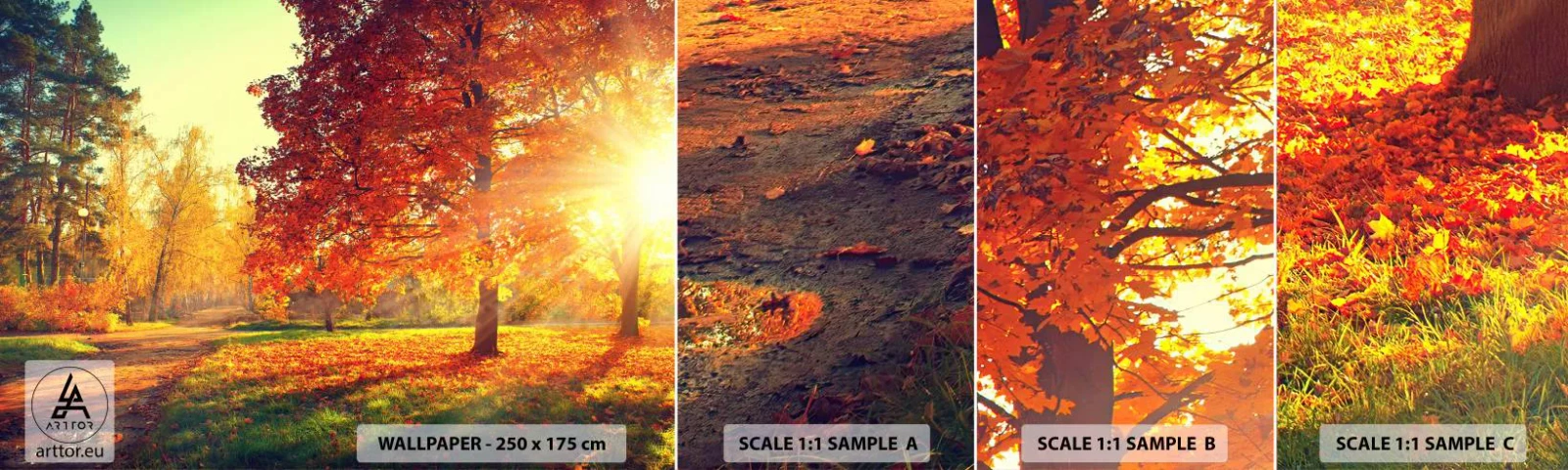 Mostră de Tapet Standard Eco - Roșcatul este frumos - Peisaj, Parc, Natură - 100x30 cm