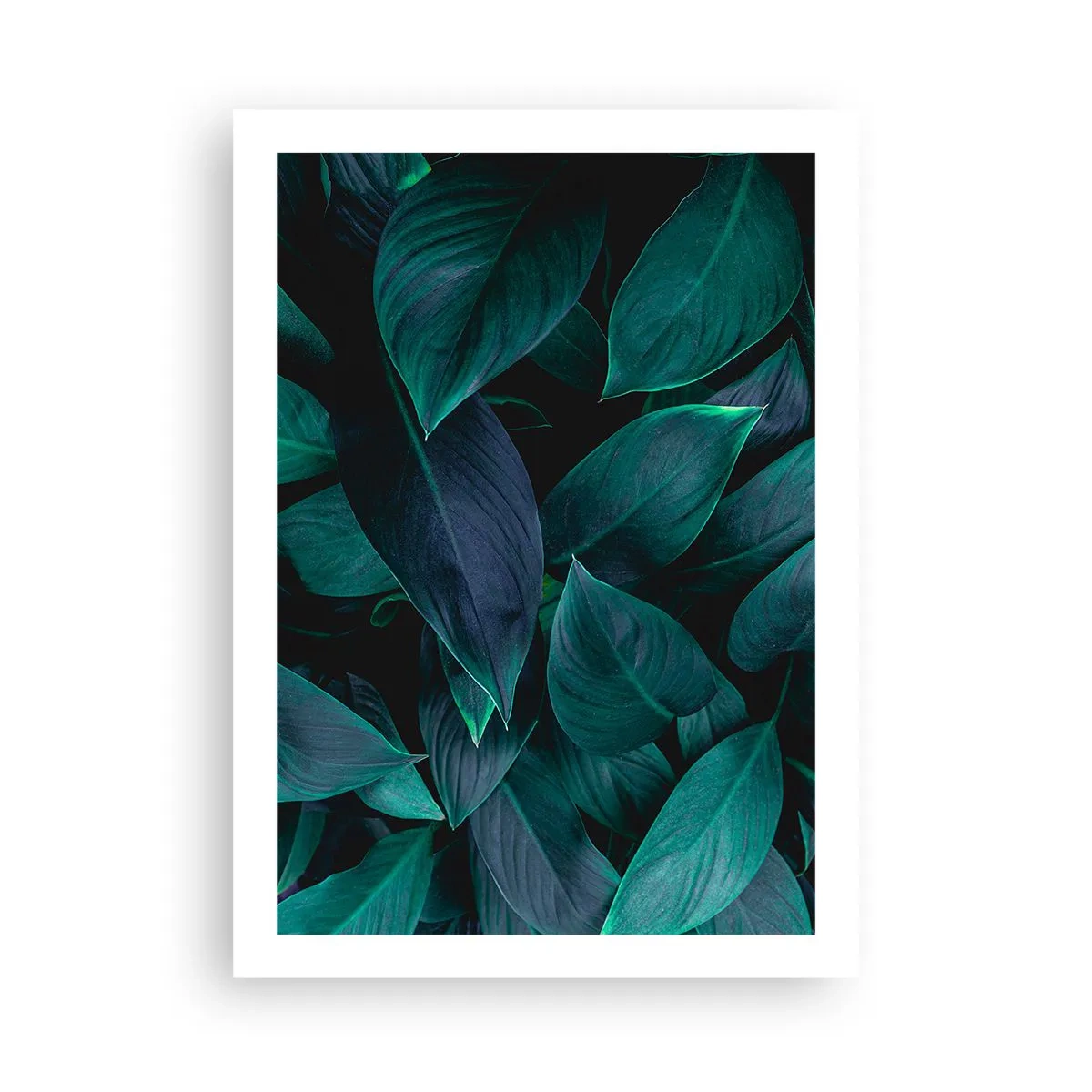 Poster - Verdeața în sine - 50x70 cm