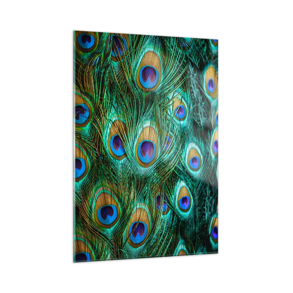 Tablou pe sticlă - O privire cu ochi de păun - 50x70 cm