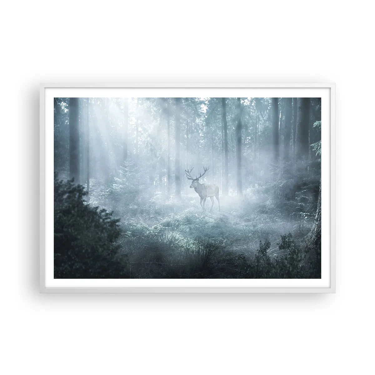 Poster în ramă albă - Plimbarea de dimineață prin regat - 100x70 cm