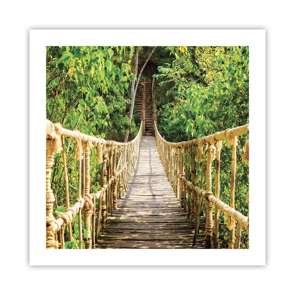 Poster - Suspendat în verde - 50x50 cm