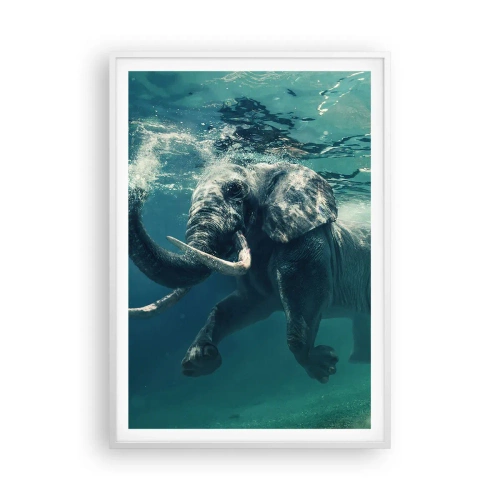 Poster în ramă albă - Tuturor le place să înoate - 70x100 cm