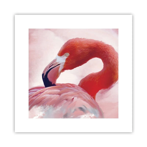 Poster - Frumusețea păsărilor - 30x30 cm