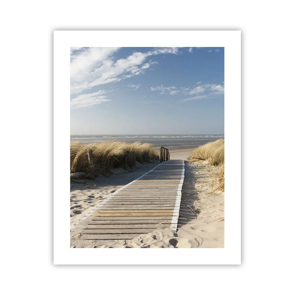 Poster - În spatele dunei, în zumzetul ierbii - 40x50 cm