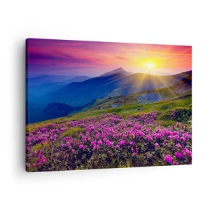 Tablou pe pânză Canvas - O pajiște înflorită cu vedere la munți în timpul apusului - 70x50cm - ... Și peste tot în jur se simte un miros de jneapăn și parfum de ierburi... - Decorațiune modernă pentru perete pentru living și dormitor ARTTOR