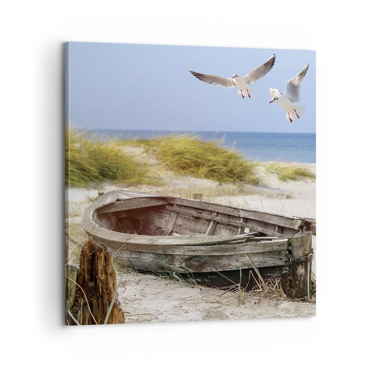 Tablou pe pânză - Scăldate în vânt - 60x60 cm