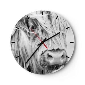 Ceas de perete - Ceas pe sticlă - Portretul unei vite scoțiene cu păr lung, în alb și negru - 30x30cm - Sălbăticie scoțiană - Decorațiune modernă pentru perete pentru living, bucătărie și dormitor ARTTOR