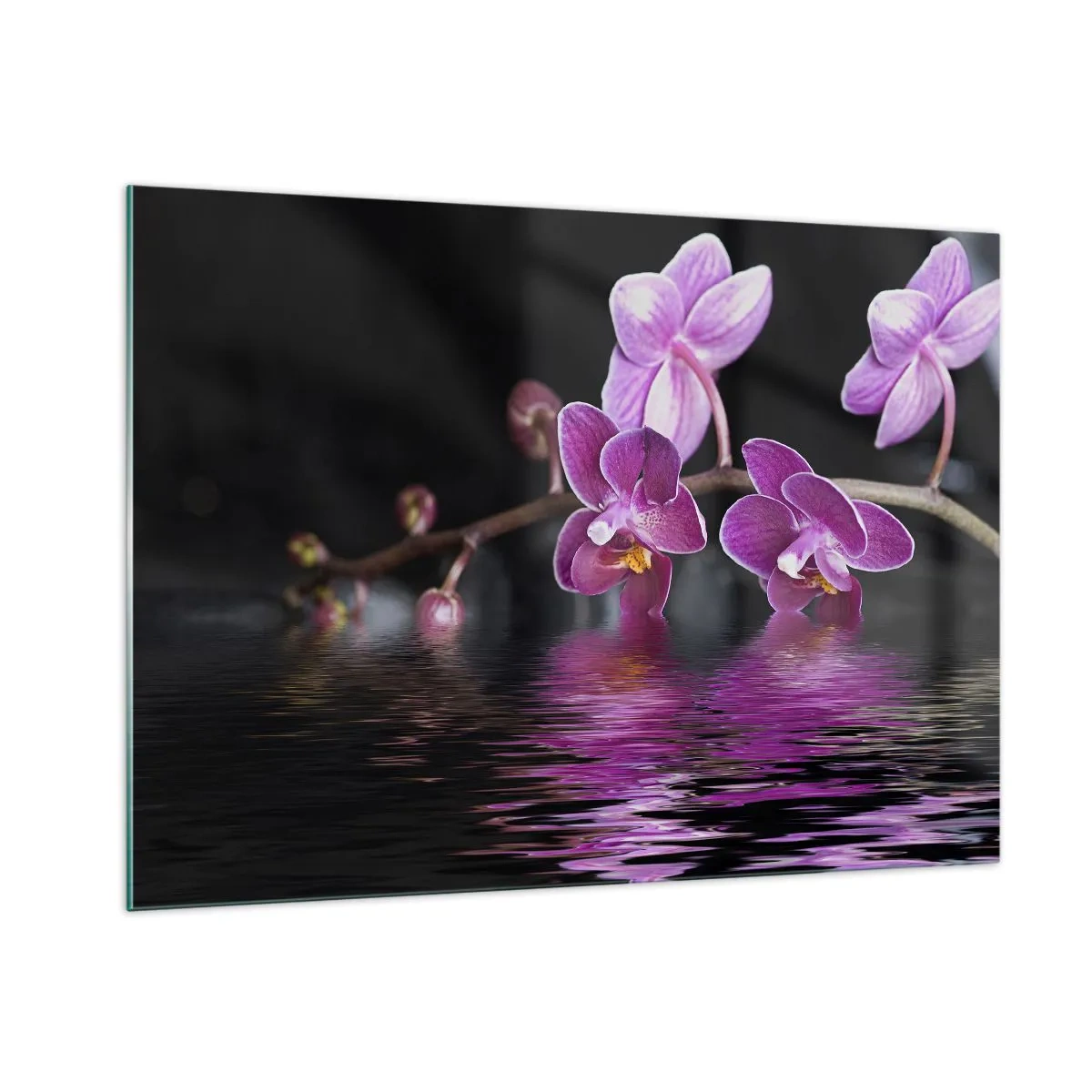 Tablou pe sticlă - Reflecție de frumusețe în liliac - 100x70 cm