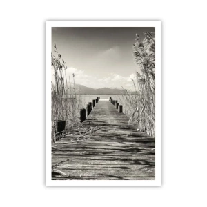 Poster - În intimitatea ierburilor - 70x100 cm