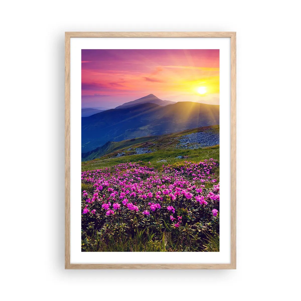 Poster în ramă de stejar deschis - ... Și peste tot în jur se simte un miros de jneapăn și parfum de ierburi... - 50x70 cm