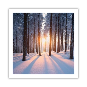 Poster - În mod clar în alb și negru - 60x60 cm