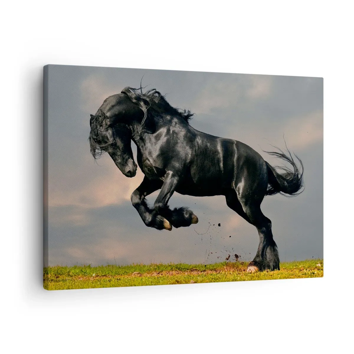 Tablou pe pânză Canvas - Un cal negru într-un salt dinamic pe cer - 70x50cm - Frumos și liber - Decorațiune modernă pentru perete pentru living și dormitor ARTTOR