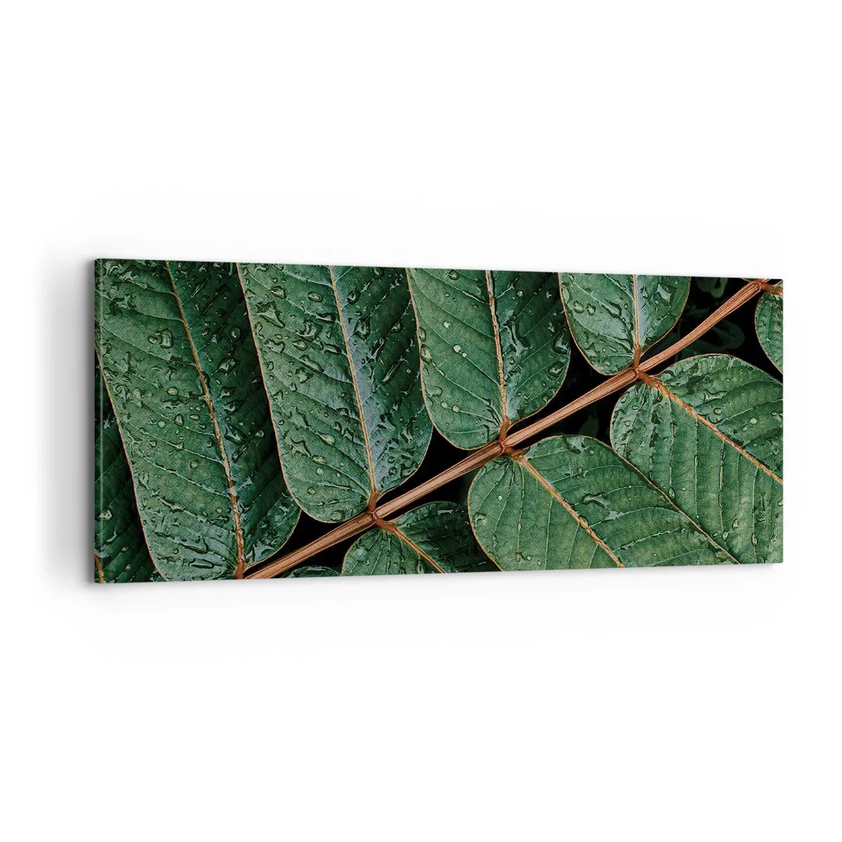 Tablou pe pânză - Într-un ritm verde - 100x40 cm