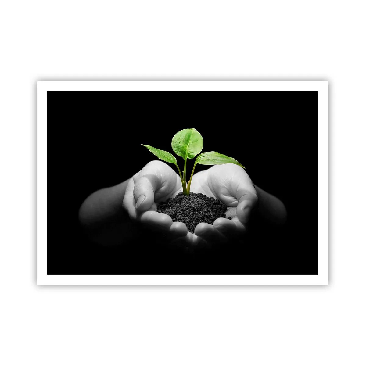 Poster - Iubesc natura, o protejez - 100x70 cm