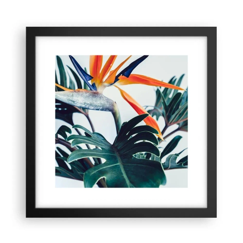 Poster în ramă neagră - Tufiș sau pasăre? - 30x30 cm