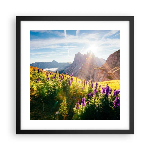 Poster în ramă neagră - Viața secretă a ierburilor - 40x40 cm