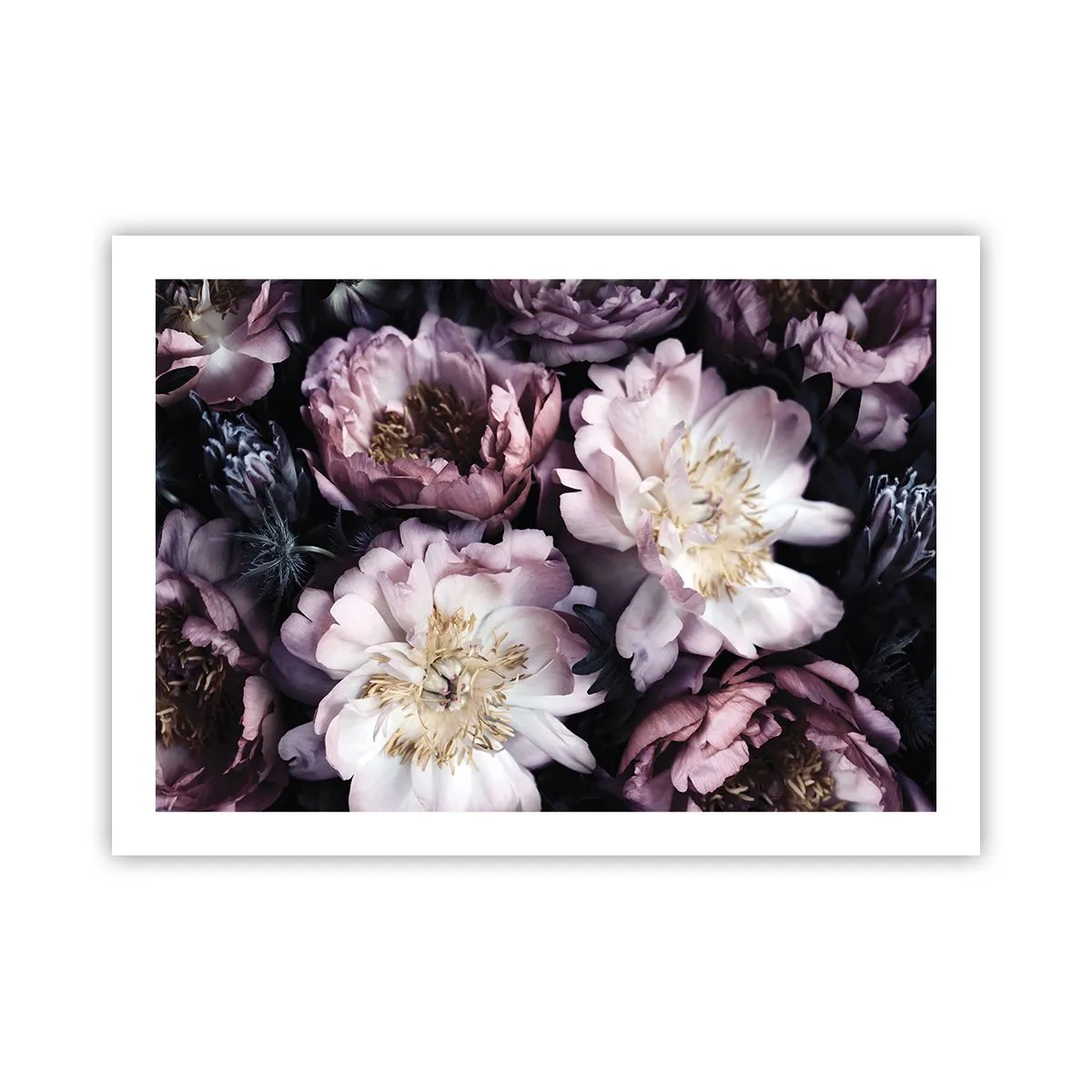 Poster - Buchet în stil vechi - 70x50 cm