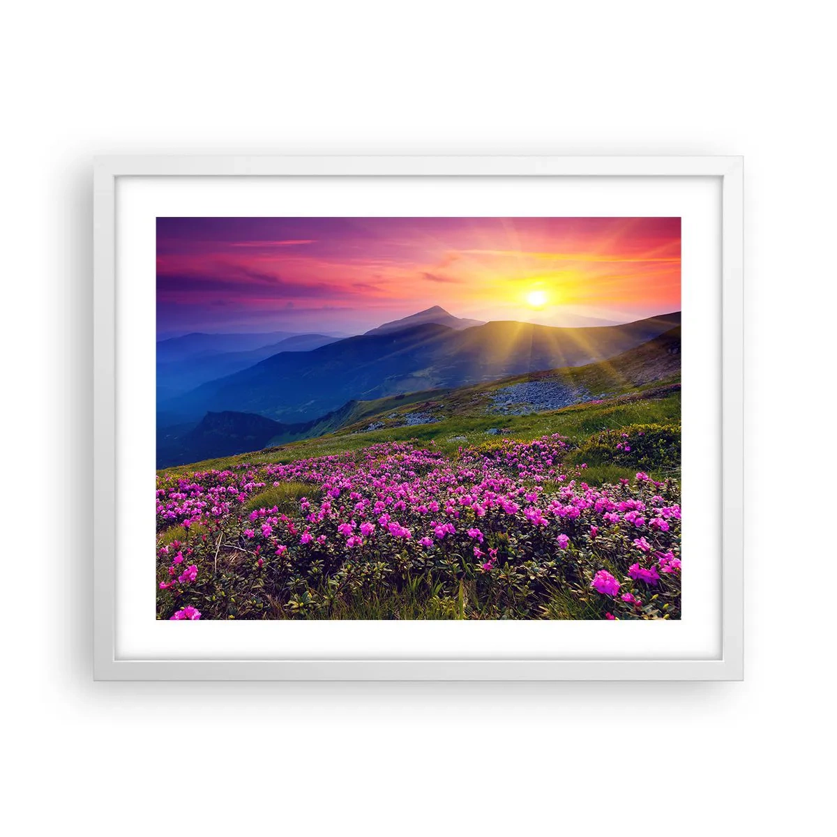 Poster în ramă albă - ... Și peste tot în jur se simte un miros de jneapăn și parfum de ierburi... - 50x40 cm