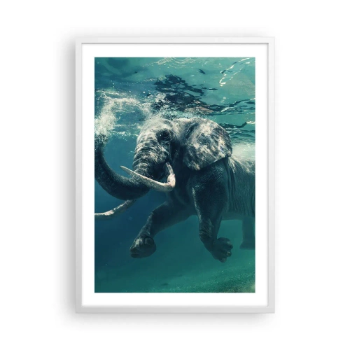 Poster în ramă albă - Tuturor le place să înoate - 50x70 cm