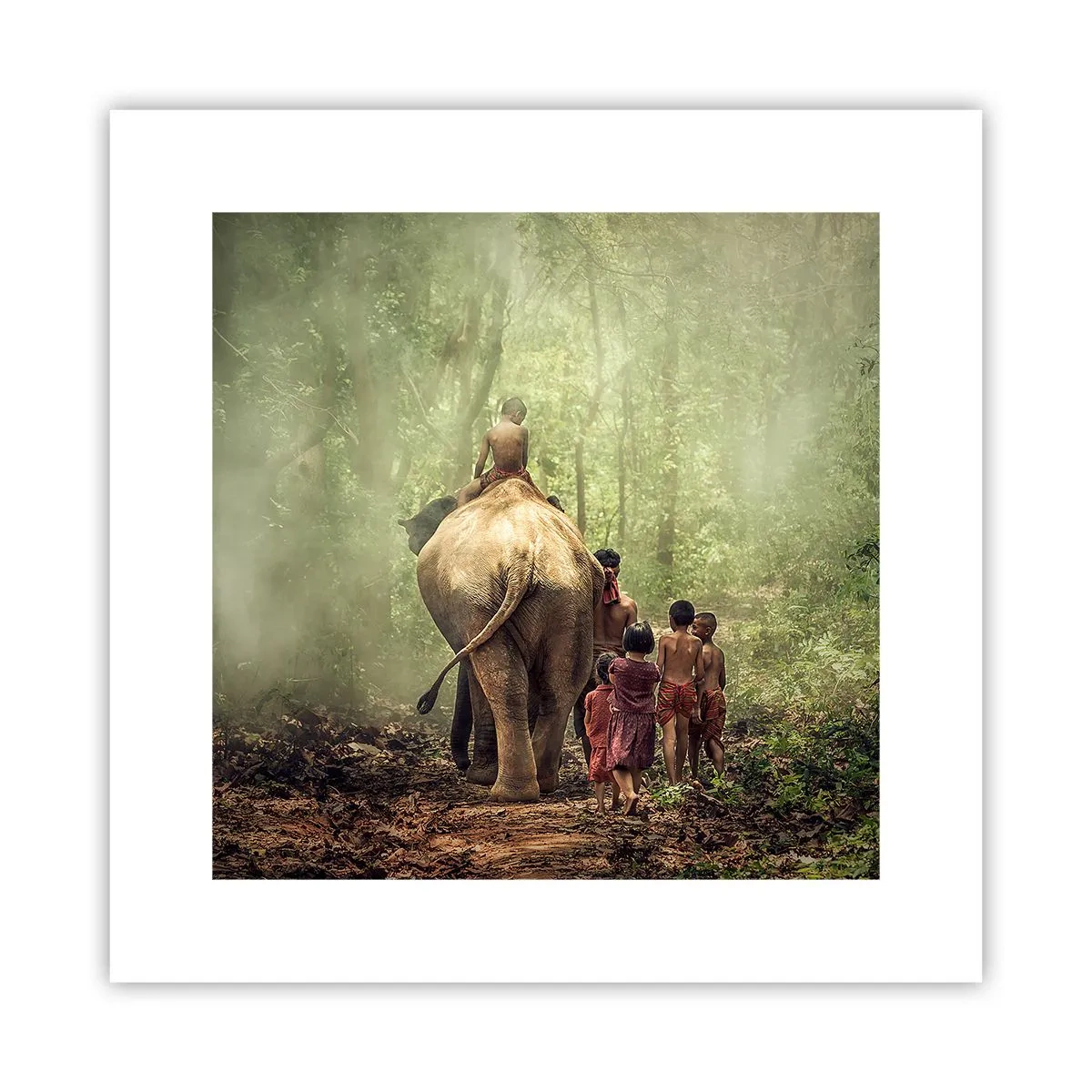 Poster - Noua Carte a Junglei - 30x30 cm