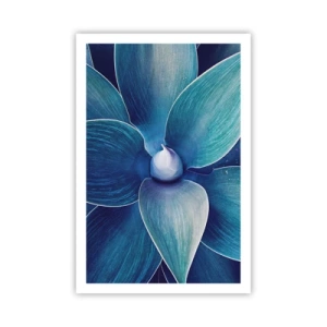 Poster - A furat albastrul de la cer - 61x91 cm