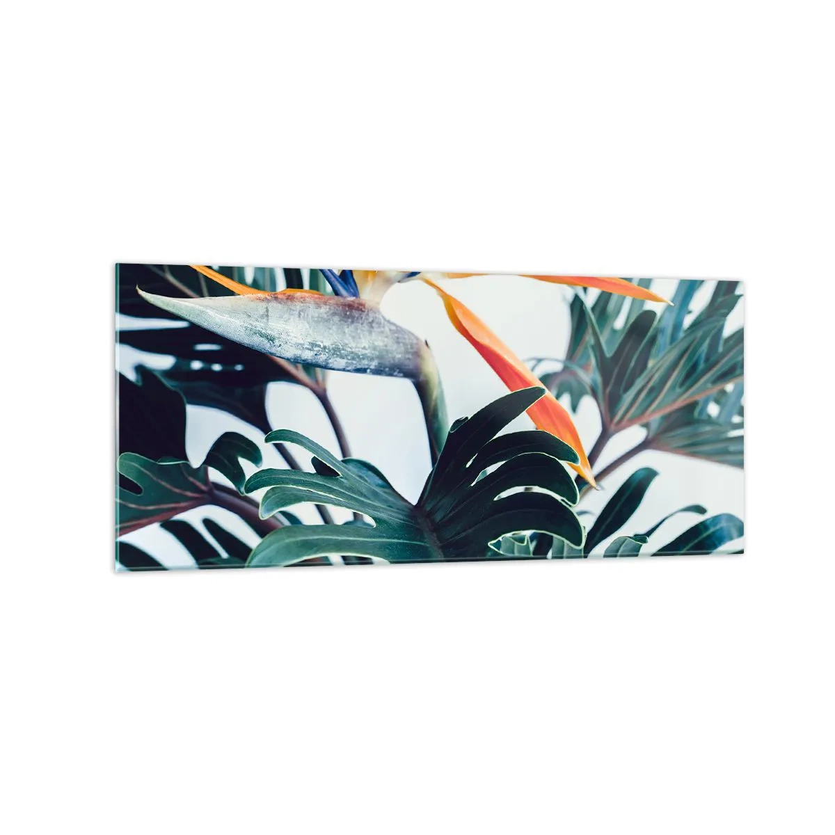 Tablou pe sticlă - Tufiș sau pasăre? - 120x50 cm