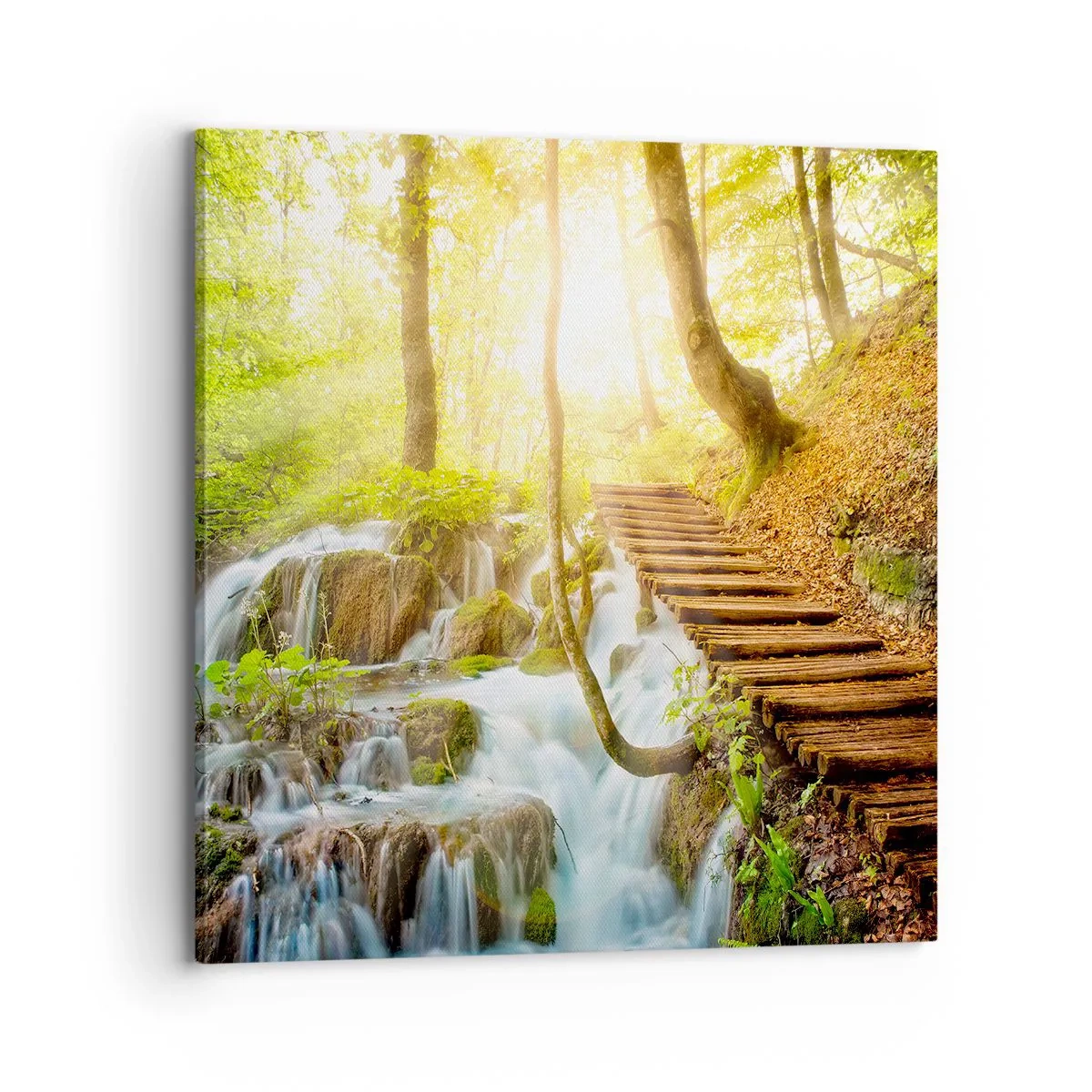 Tablou pe pânză - Răcirea dorită - 70x70 cm