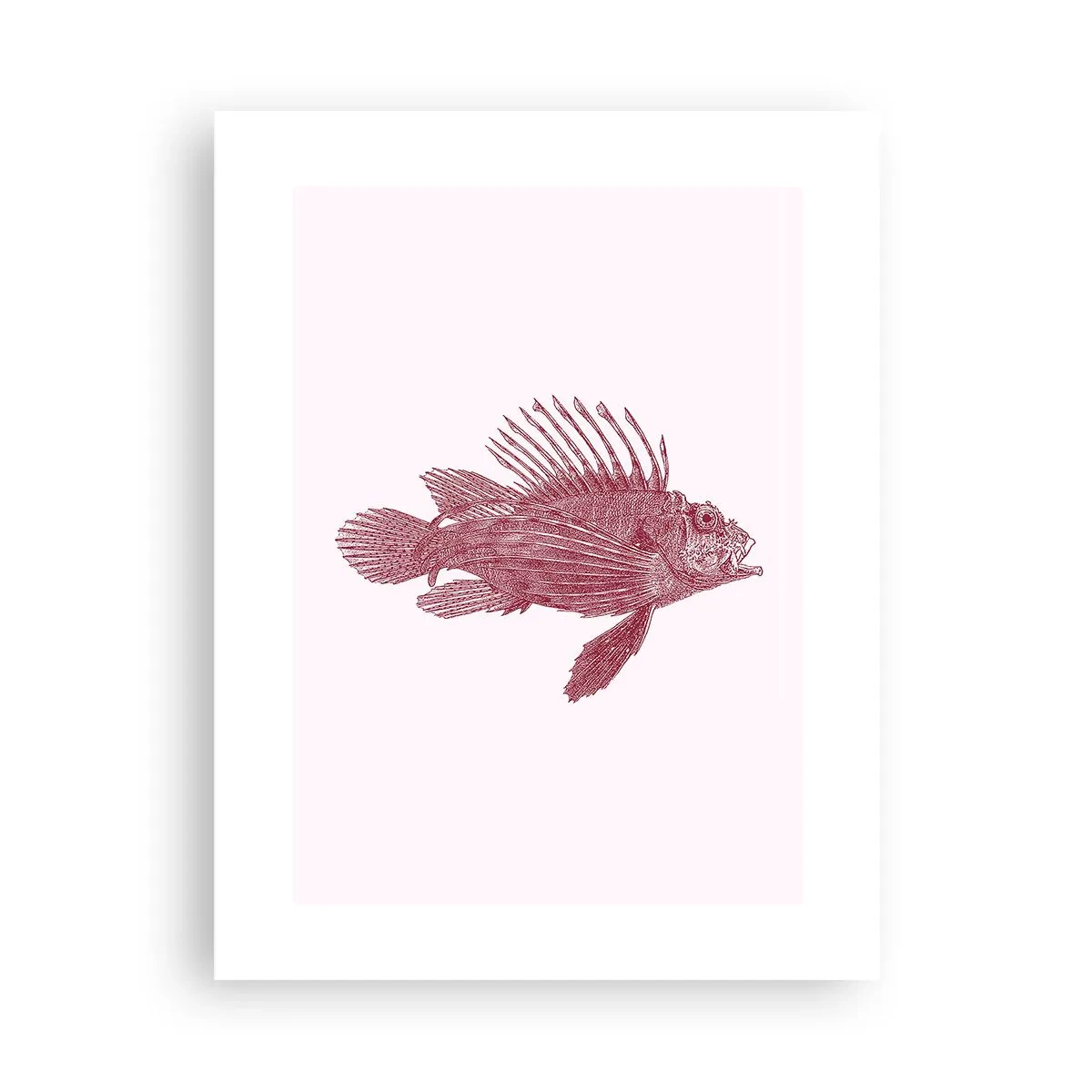 Poster - Un locuitor al apelor exotice - 30x40 cm
