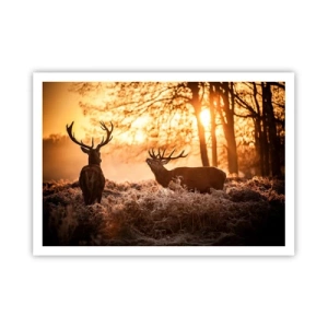 Poster - Visul unui vânător - 100x70 cm