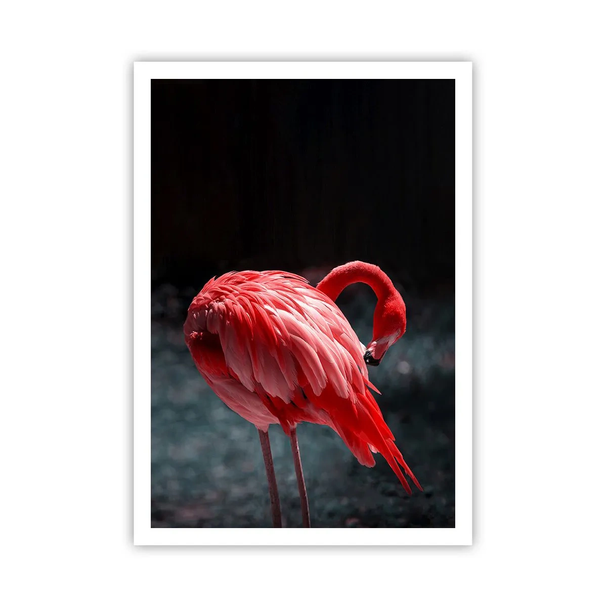 Poster - Poemul purpuriu al naturii - 70x100 cm