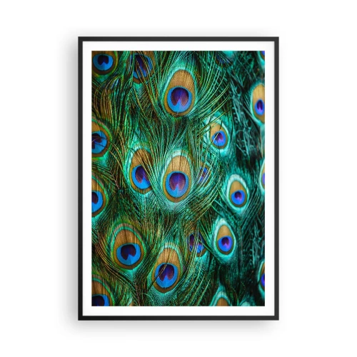 Poster în ramă neagră - O privire cu ochi de păun - 70x100 cm