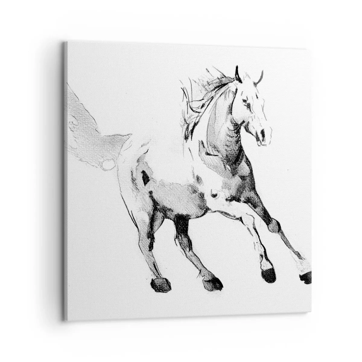 Tablou pe pânză - Suflet neîmblânzit - 50x50 cm