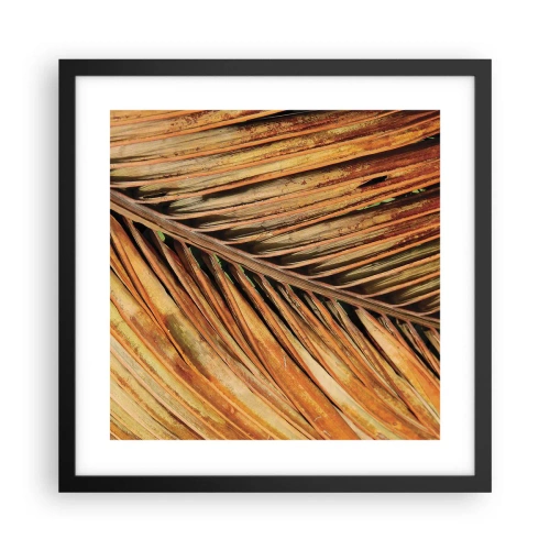 Poster în ramă neagră - Aur de nucă de cocos - 40x40 cm
