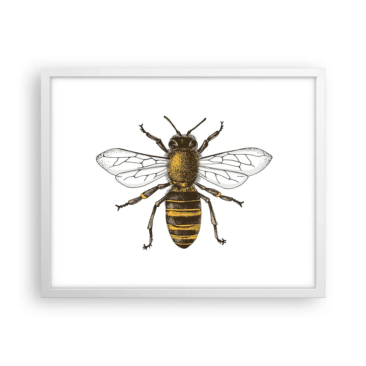 Poster în ramă albă - Frumoasă și bună - 50x40 cm