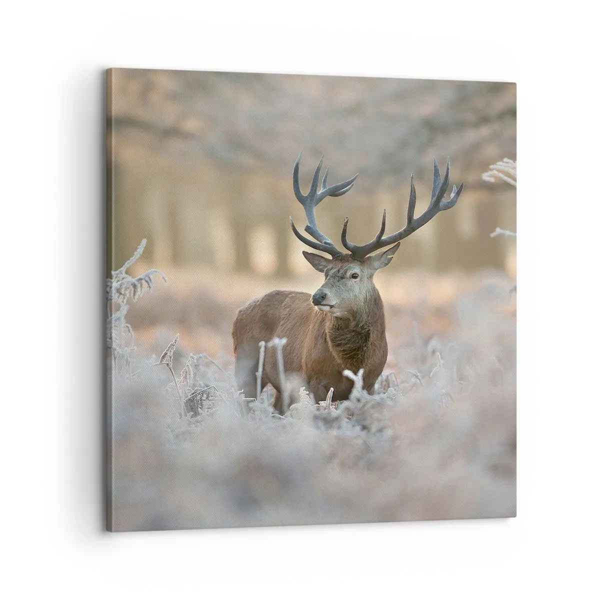 Tablou pe pânză - O dimineață răcoroasă - 60x60 cm