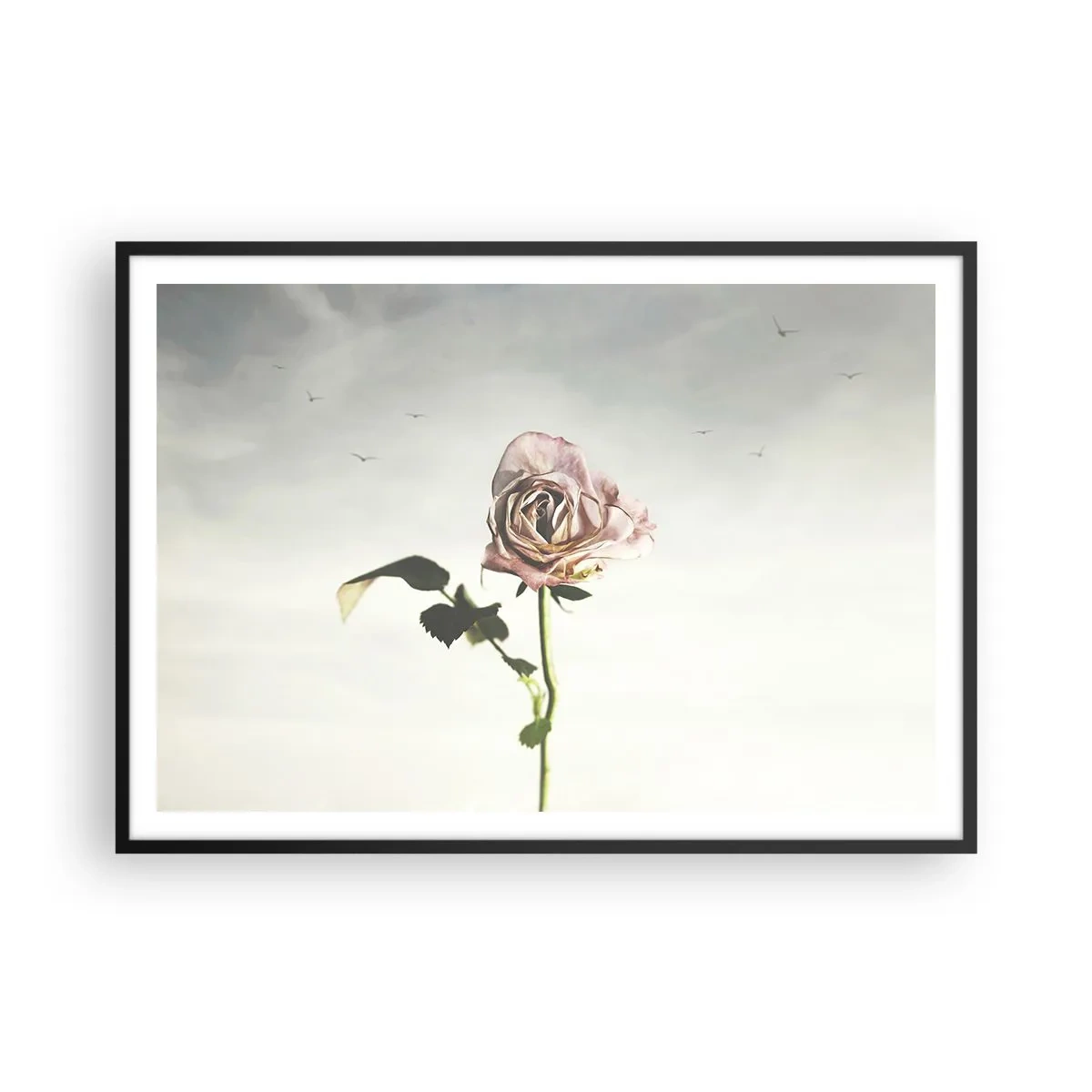 Poster în ramă neagră - Primăvara binevenită - 100x70 cm