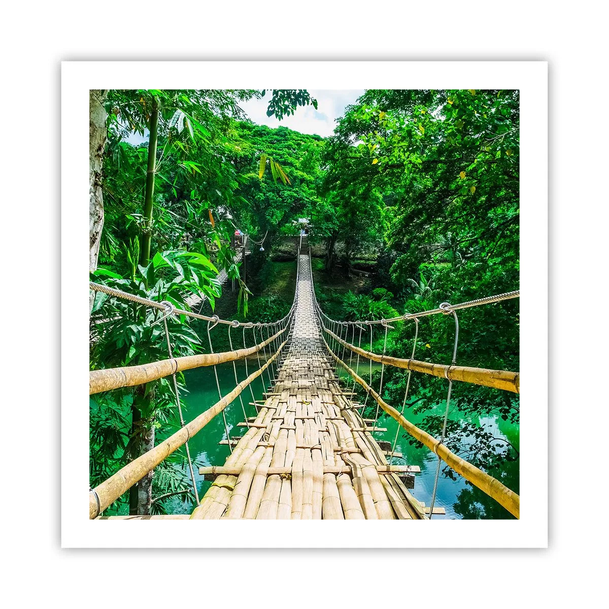 Poster - Pod de maimuțe peste verdeață - 60x60 cm