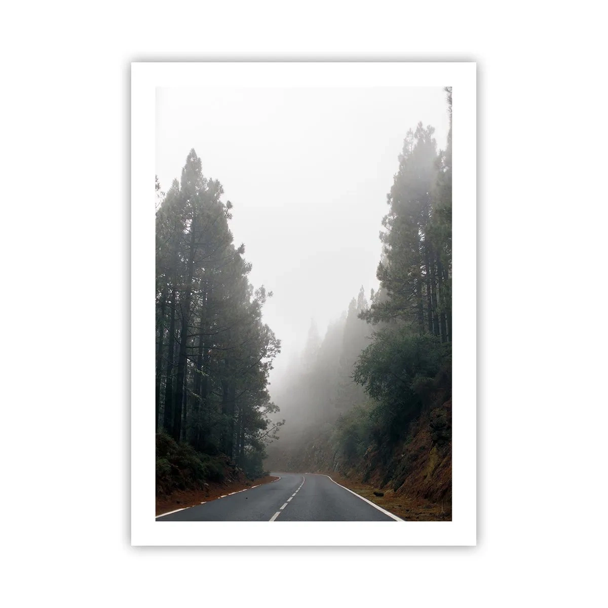 Poster - O poveste din Pădurea Magică - 50x70 cm